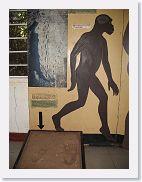 05NgorongoroCraterRim - 5 * This exhibit shows a cast of the fossilized humanoid footprints found in the area.
